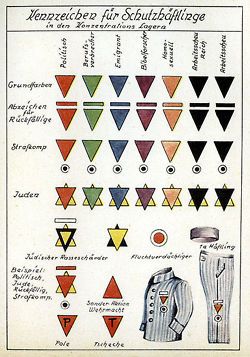 Inmate Identification Chart