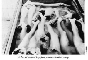 Ravensbrück: the exclusive SS womens concentration camp 
