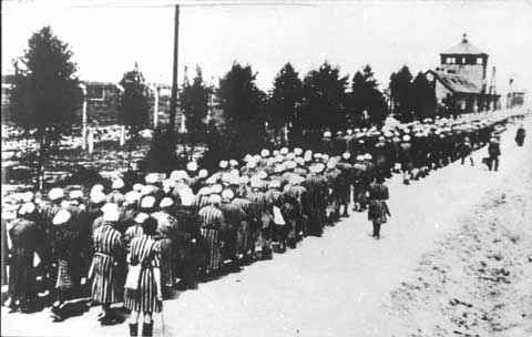 Women Slave Laborers--Ravensbruck 