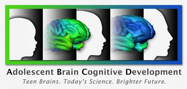 The 1990s “Decade of the Brain” is being Resuscitated