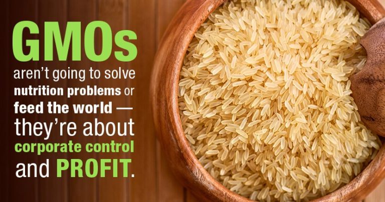 Biotech Agriculture Failed to Increase Crop Yields, but Increased Use of Herbicide