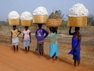 Burkina Faso Cotton pickers