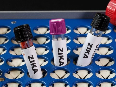 A U.S. Zika Vaccine Trial Has a Problem: Mother Nature Removed the Threat of Infection